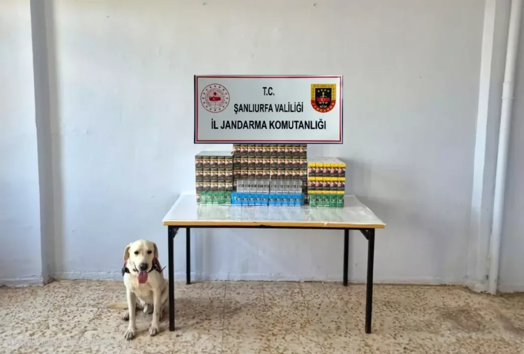 Sanliurfada Kacakcilik Operasyonu Binlerce Paket Sigara ve Cep Telefonu Yedek