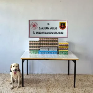 Sanliurfada Kacakcilik Operasyonu Binlerce Paket Sigara ve Cep Telefonu Yedek
