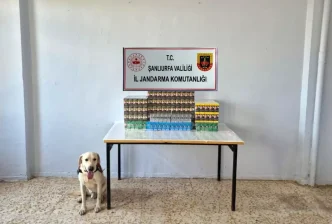 Sanliurfada Kacakcilik Operasyonu Binlerce Paket Sigara ve Cep Telefonu Yedek