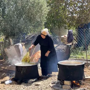 Sanliurfada Uzum Hasadi ve Pekmez Uretimi Basladi