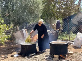 Sanliurfada Uzum Hasadi ve Pekmez Uretimi Basladi