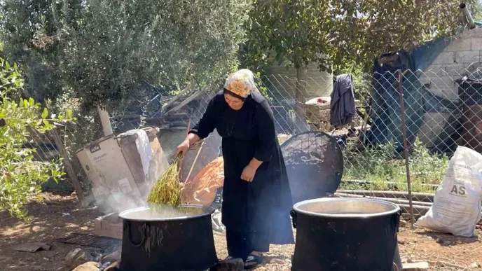 Sanliurfada Uzum Hasadi ve Pekmez Uretimi Basladi