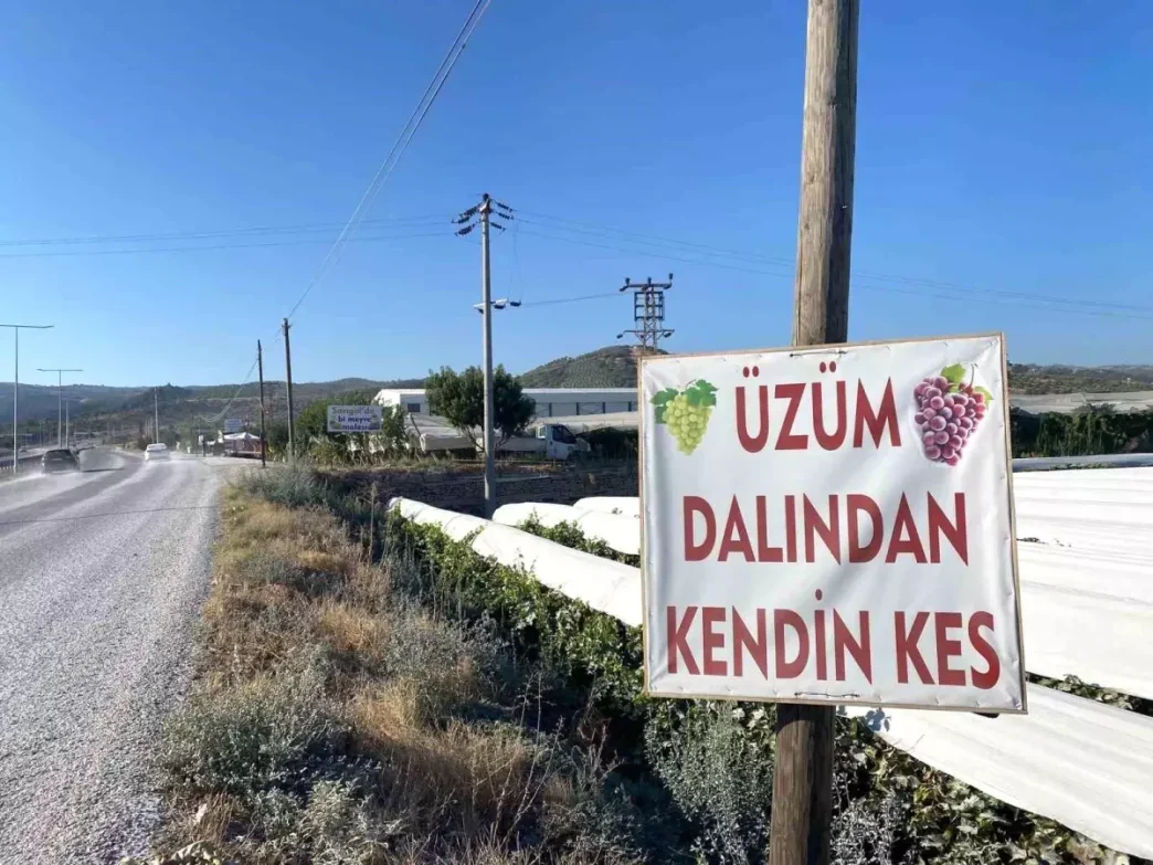 Sarigolde Dalindan Uzum Satisiyla Ekonomiye Katki