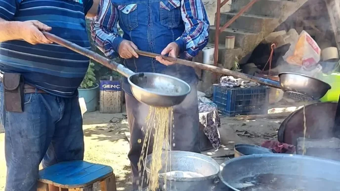 Sarigolde Kislik Pekmez Yapimina Baslandi