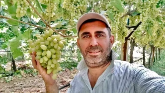 Sarigollu Uzum Ureticisi Emin Cepel Dogayi Koruyarak Basariya Ulasiyor