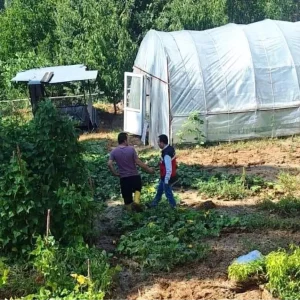 Simavda Sel ve Su Baskini Tarim Alanlarini Vurdu