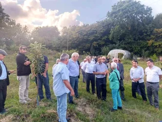 Sinopta Kestane Balinin Gelecegi Konferansi Duzenlendi
