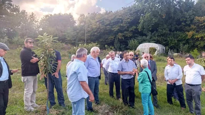 Sinopta Kestane Balinin Gelecegi Konferansi Duzenlendi