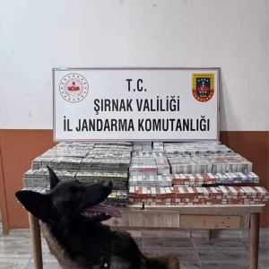 Sirnakta Kacakcilik Operasyonunda 44 Kisi Yakalandi 2 Tutuklandi