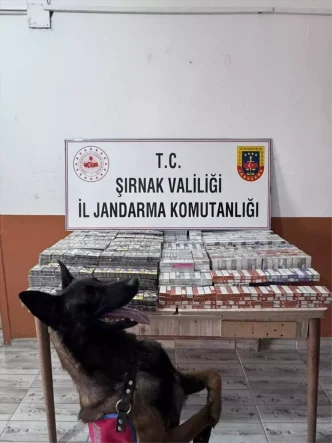 Sirnakta Kacakcilik Operasyonunda 44 Kisi Yakalandi 2 Tutuklandi