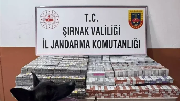 Sirnakta Kacakcilik Operasyonunda 44 Kisi Yakalandi 2 Tutuklandi