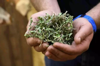 Sivasin Vazgecilmezi Kuru Madimak Destek Ihtiyacini Karsiliyor