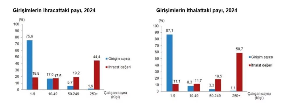 TUIK 2024 Dis Ticaret Istatistiklerini Acikladi