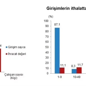 TUIK 2024 Dis Ticaret Istatistiklerini Acikladi