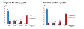 TUIK 2024 Dis Ticaret Istatistiklerini Acikladi