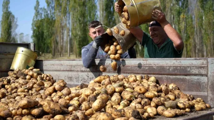 Tarimsal Girdi Fiyat Endeksi Yuzde 3422 Artti