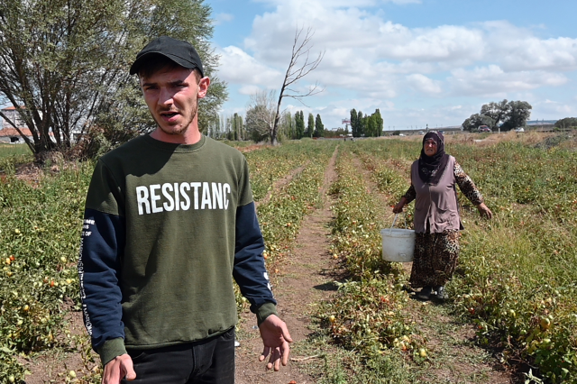 Tarlasını vatandaşa açtı, paraya para demedi