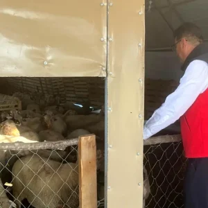 Tekirdag Il Muduru Aksoy Kapaklida Tarimsal Uretim Faaliyetlerini Inceledi