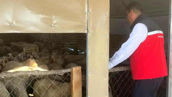 Tekirdag Il Muduru Aksoy Kapaklida Tarimsal Uretim Faaliyetlerini Inceledi