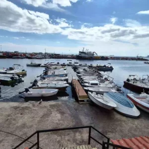 Tekirdagda Poyraz Firtinasi Balikcilari Limana Cekti