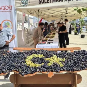 Tekirdagda Yeni Uzum Cesitleri Tanitildi