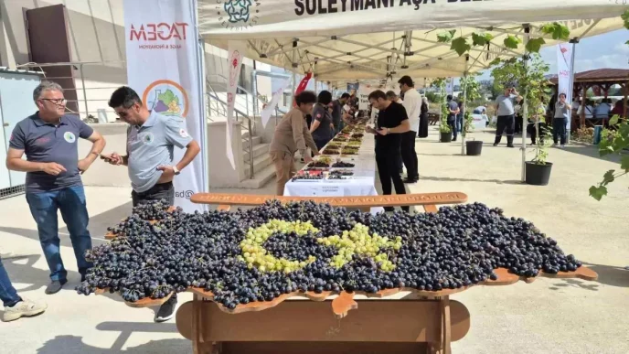 Tekirdagda Yeni Uzum Cesitleri Tanitildi