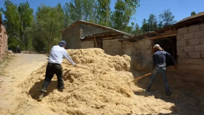Tercanda Ciftciler Kis Icin Samanlari Hazirliyor