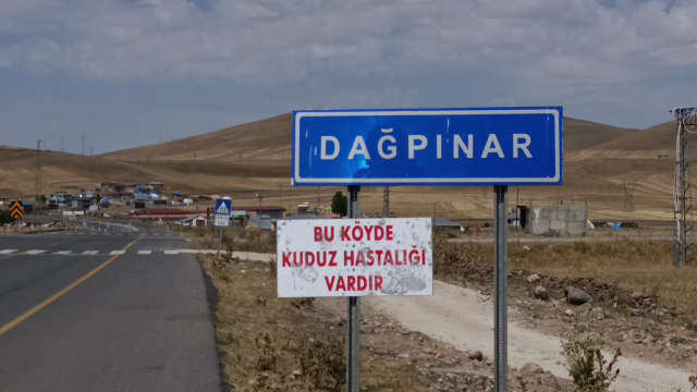 Tilki ile köpek boğuştu, bir belde karantinaya alındı