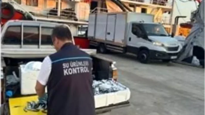 Trabzonda Hamsi Avina Izin Verilen Noktalar Disinda Cikarimlara Cezai Islem
