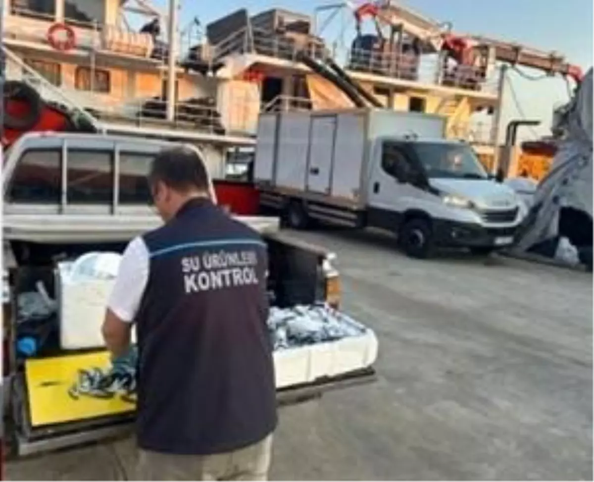 Trabzonda Hamsi Avina Izin Verilen Noktalar Disinda Cikarimlara Cezai Islem