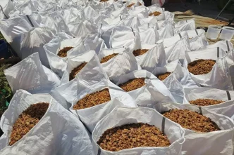 Turkiye Kuru Uzum Ihracatinda Miktar Duserken Gelir Rekoru Kirdi