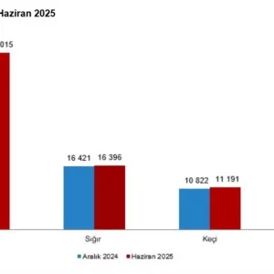 Turkiyedeki Hayvancilik Istatistikleri Aciklandi Haberler
