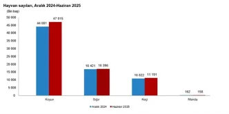 Turkiyedeki Hayvancilik Istatistikleri Aciklandi Haberler