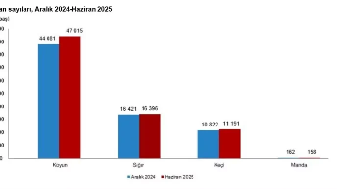 Turkiyedeki Hayvancilik Istatistikleri Aciklandi Haberler