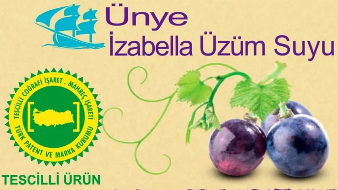Unye Izabella Uzum Suyu Cografi Isaret Tescili Aldi