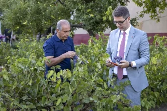 Vanda Ercis Uzumunun Hasadi Basladi