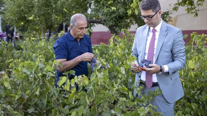 Vanda Ercis Uzumunun Hasadi Basladi