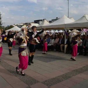 Yalova Aronya Festivali Basladi Haberler
