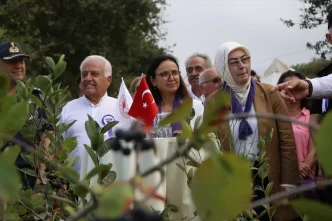 Yalovada Organik Aronya Hasat Donemi Basladi