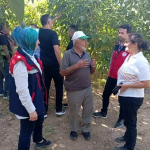 Yapagli Koyu Ceviz Hasadi Oncesi Incelemeler Yapildi