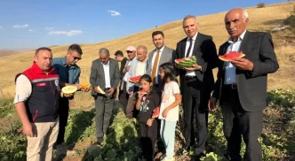 Yuksekovada Misir Karpuz ve Kavun Hasadi Basladi