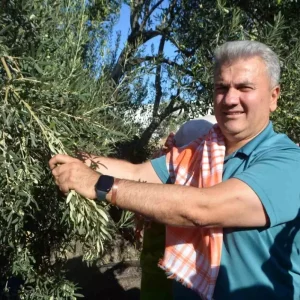 Zeytinyaginin AB Tescili Icin Cabalar Devam Ediyor