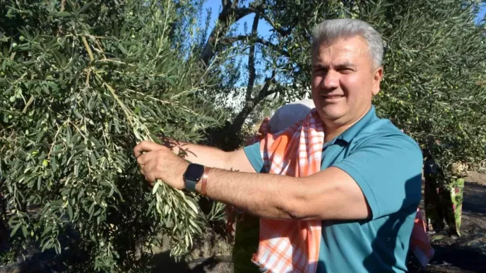 Zeytinyaginin AB Tescili Icin Cabalar Devam Ediyor