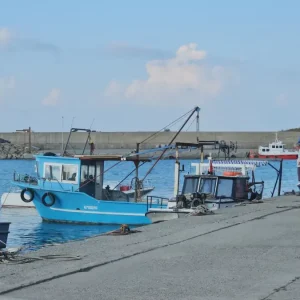 Zonguldak Balikcilari Umutla Bekliyor Hamsi Sezonu Ekim ve Kasimda Gelecek