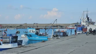 Zonguldak Balikcilari Umutla Bekliyor Hamsi Sezonu Ekim ve Kasimda Gelecek