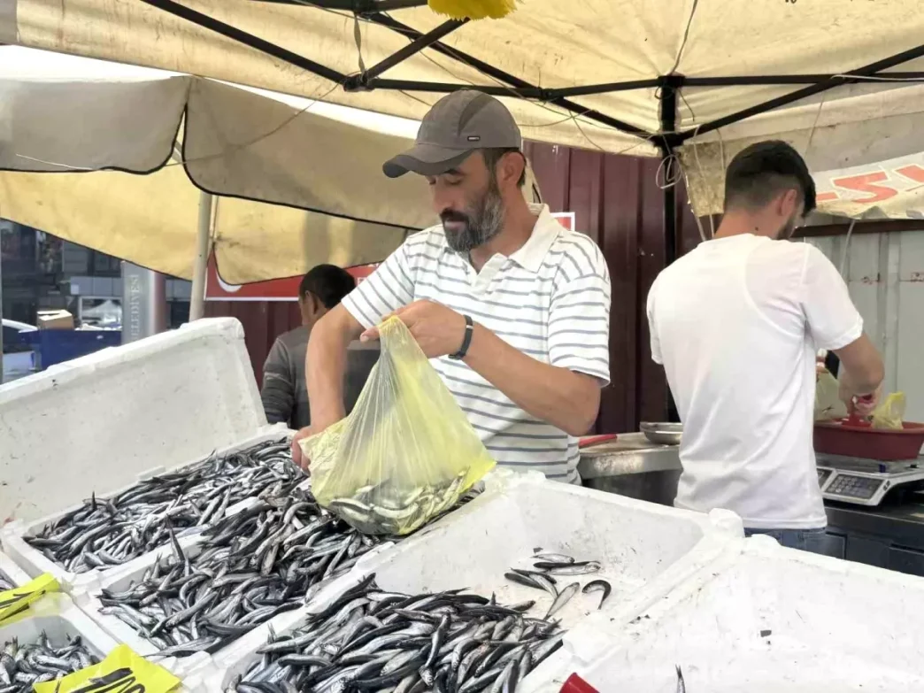 Zonguldakta Hamsi Firtinasi Tezgahlarda 100 Lira