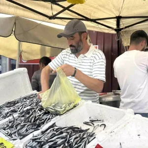 Zonguldakta Hamsi Firtinasi Tezgahlarda 100 Lira