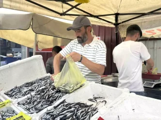 Zonguldakta Hamsi Firtinasi Tezgahlarda 100 Lira