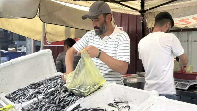 Zonguldakta Hamsi Firtinasi Tezgahlarda 100 Lira