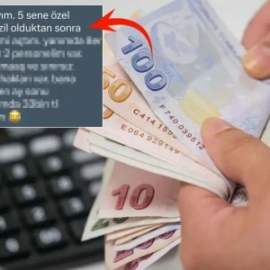kendi isini kurup calisaniyla ayni parayi kazanan 19015724 4230 amp